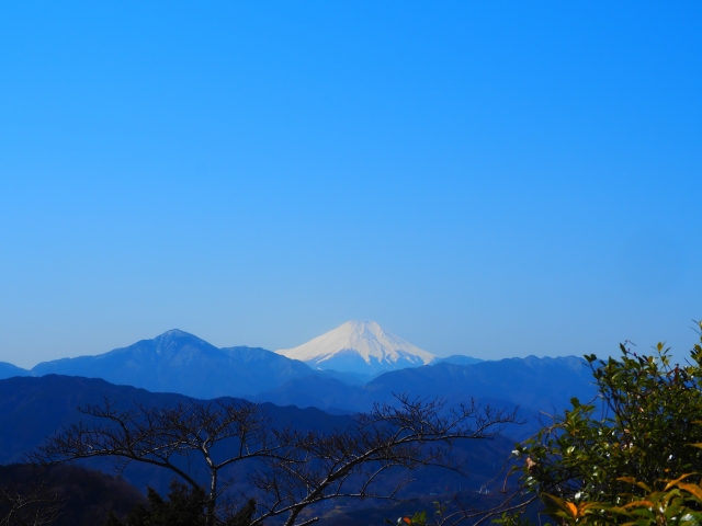 高尾山頂からの富士山
